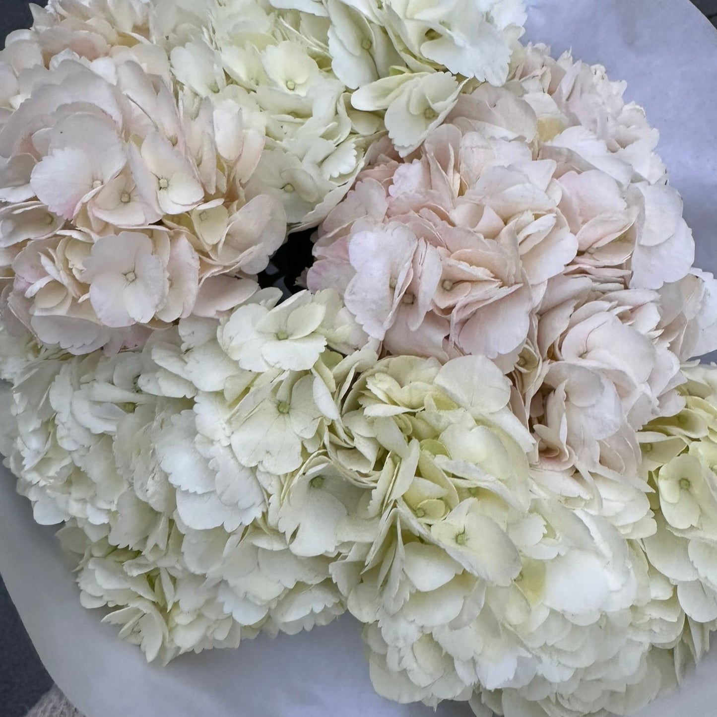 Monoboeket van Hydrangeas