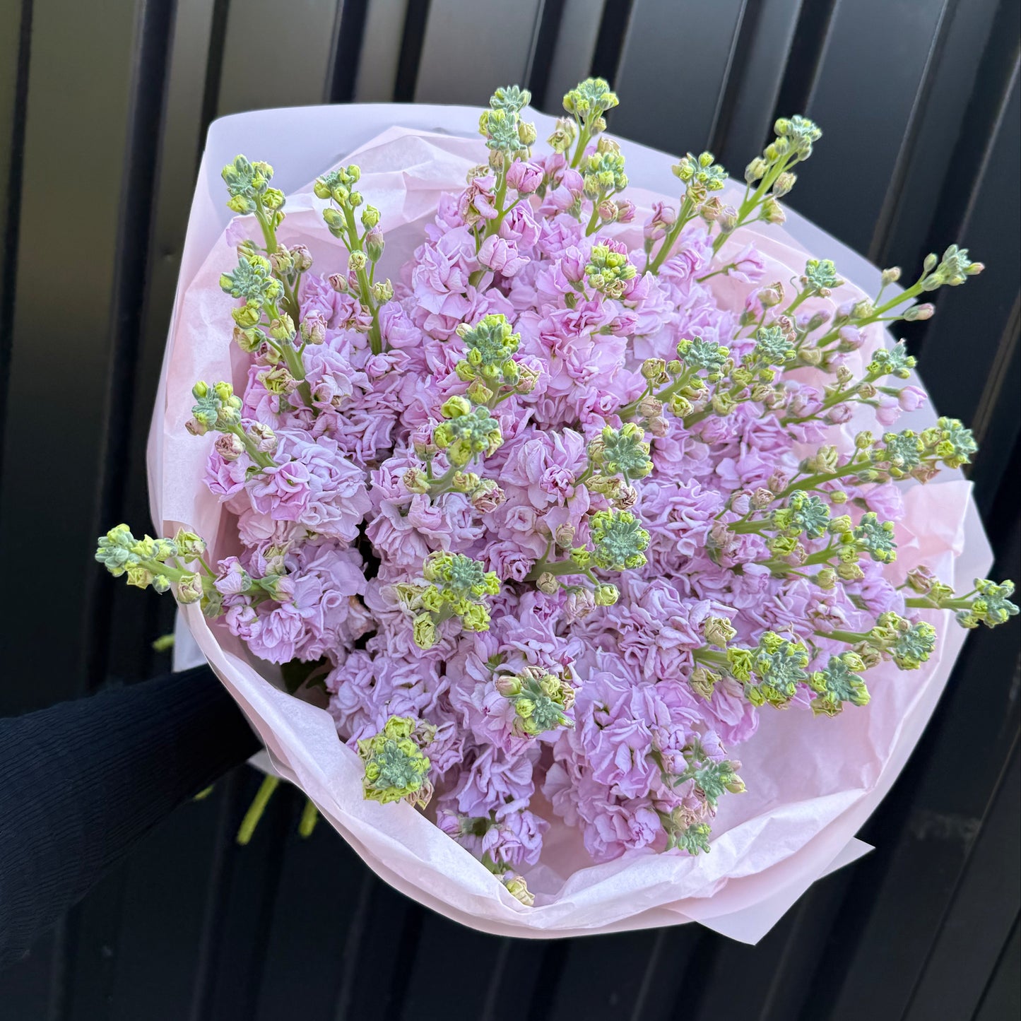 Mono mattiola bouquet