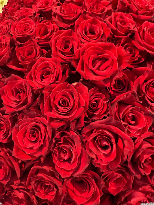 51 red roses 90cm