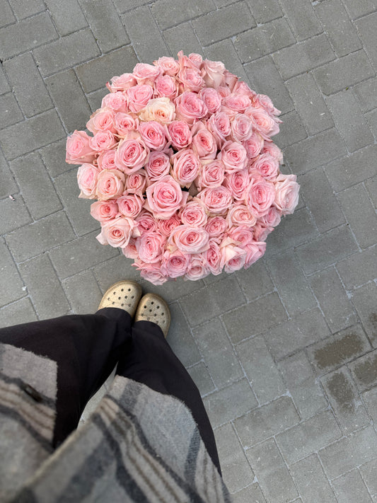 500 roses