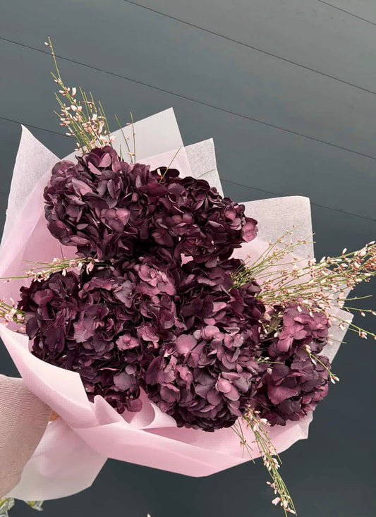 Hydrangea love